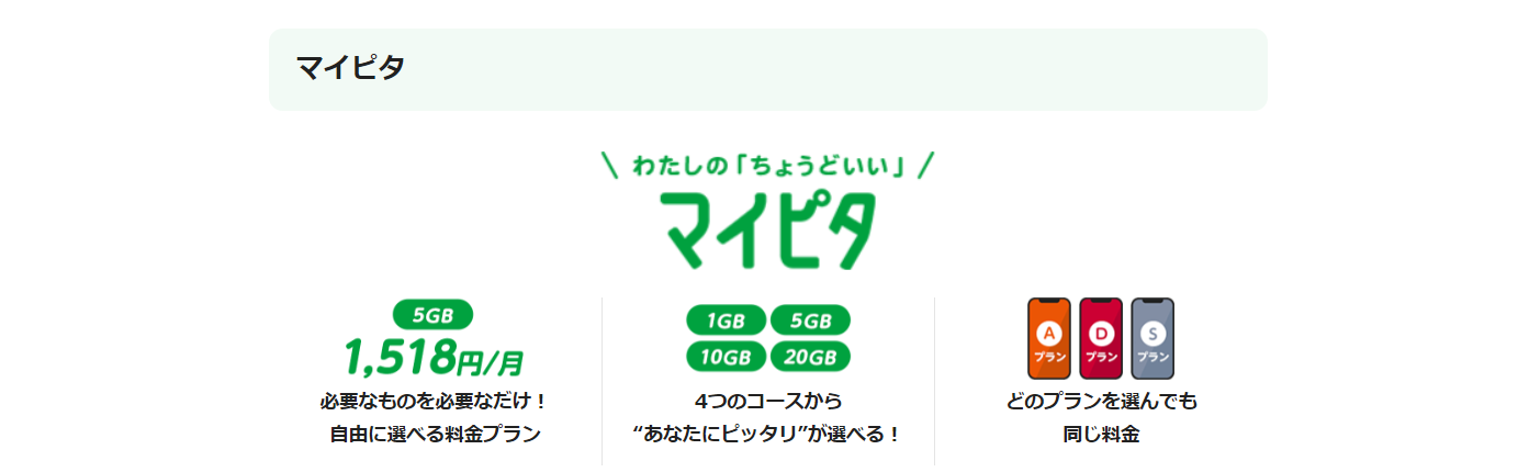 mineoの料金プラン「マイピタ」