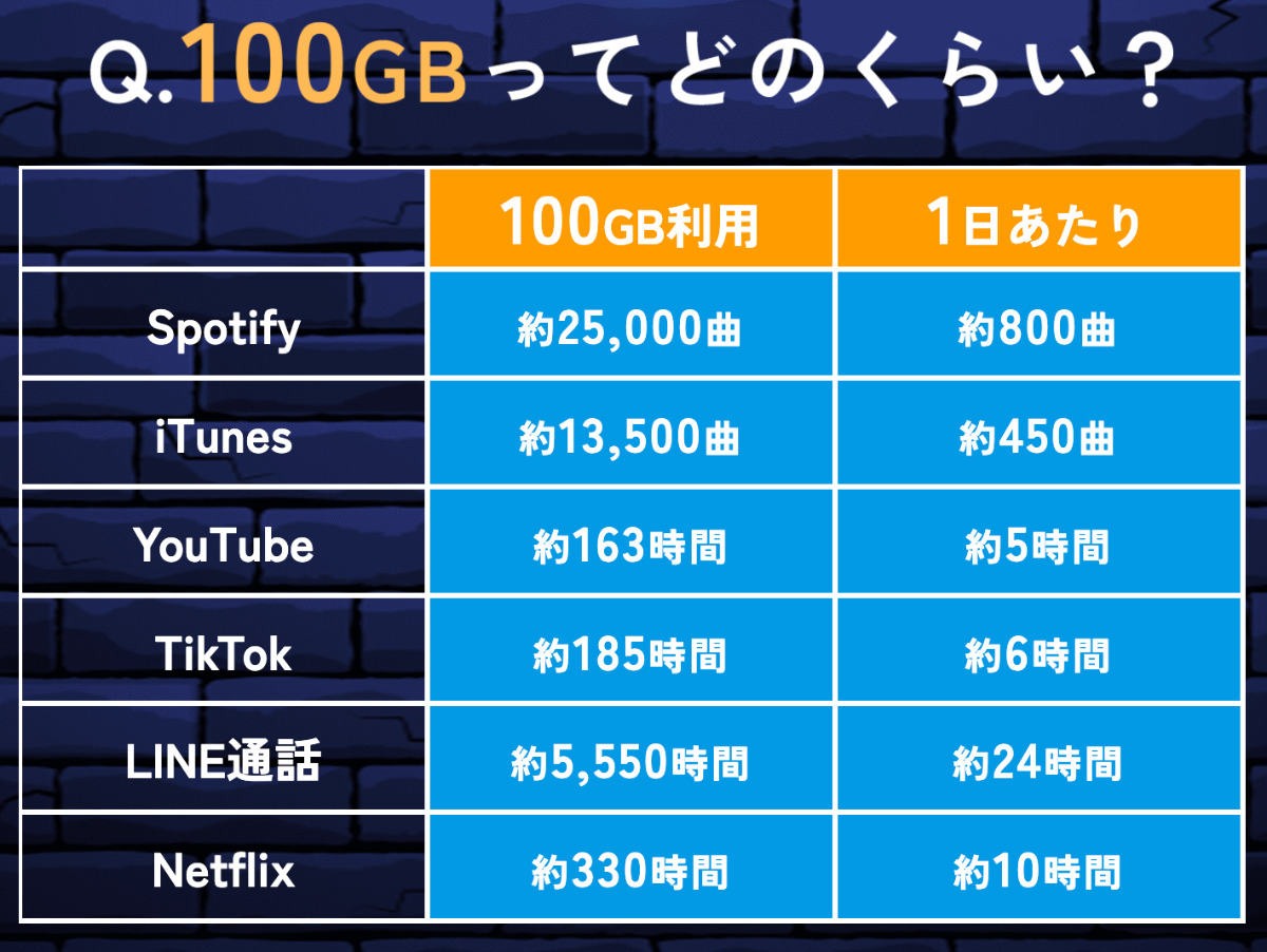 データ容量100GBの使用例