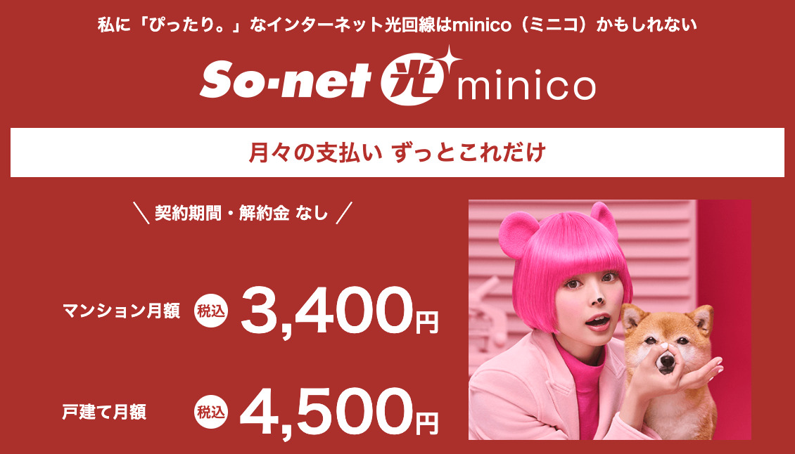 So-net光minicoの料金