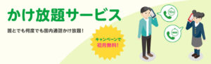 mineoの「かけ放題初月無料」