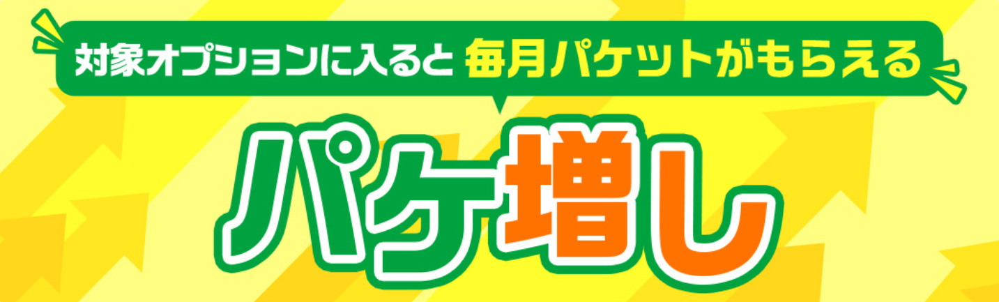 mineoの「毎月パケット増量特典 パケ増し」