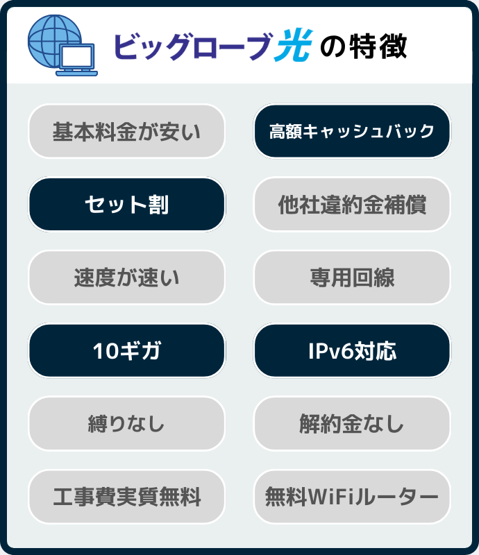 ビッグローブ光の特徴