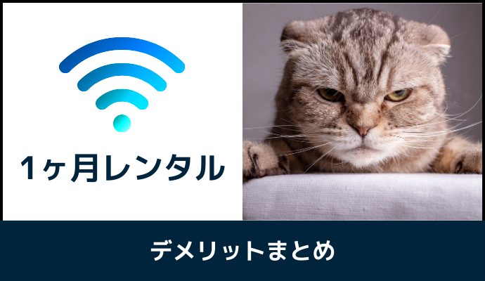 1ヶ月レンタルできるポケット型WiFiのデメリット