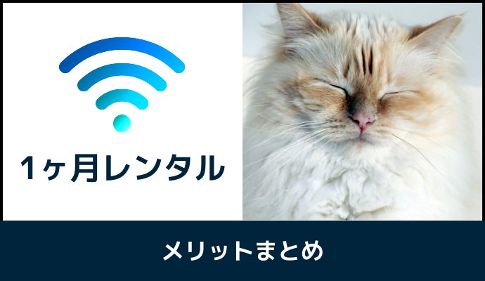 1ヶ月レンタルできるポケット型WiFiのメリット