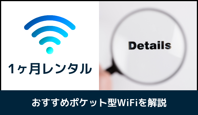 1ヶ月レンタルできるポケット型WiFiの詳細