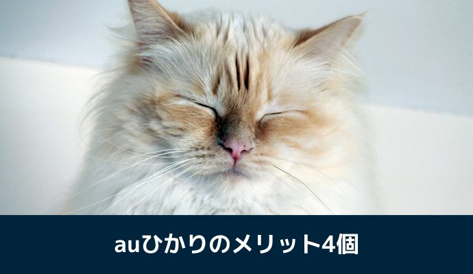 auひかりのメリット