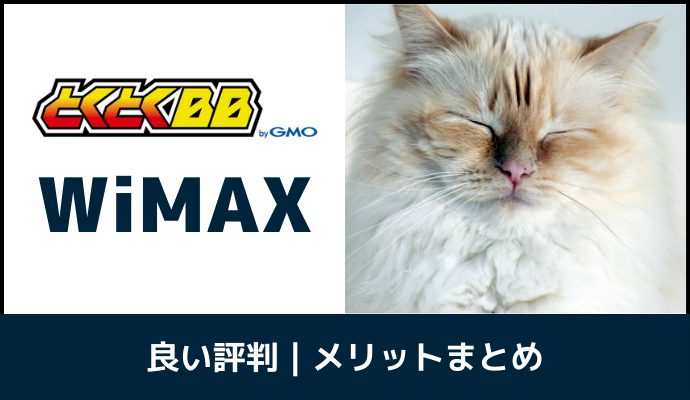 GMOとくとくBB WiMAXのメリットを解説