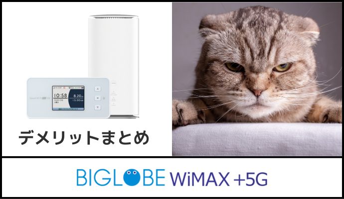 BIGLOBE WiMAXのデメリット