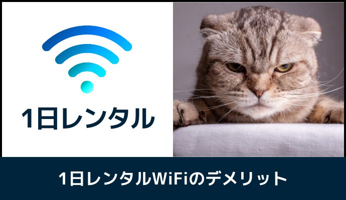 1日レンタルできるポケット型WiFiのデメリット