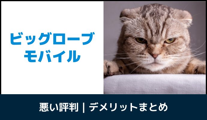 ビッグローブモバイルの悪い評判・口コミ・デメリットを解説