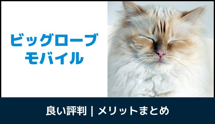 ビッグローブモバイルの良い評判・口コミ・メリットを解説