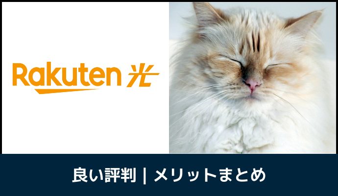 楽天ひかりのメリットを解説