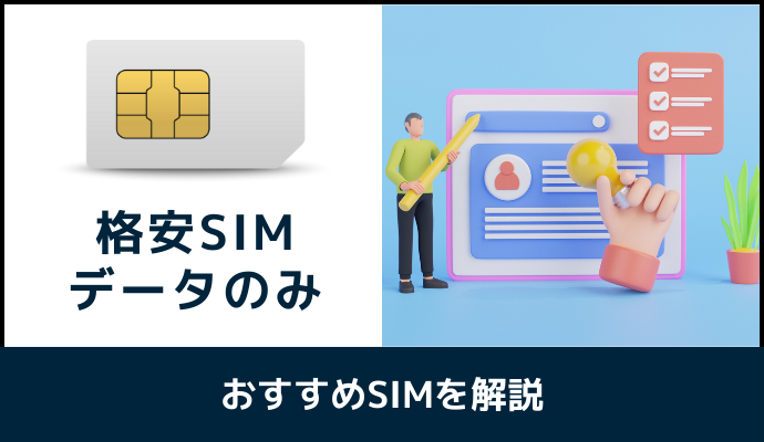 データのみ格安SIMを解説